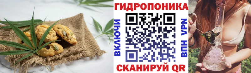 купить  цена  Канаш  Canna-Cookies марихуана 