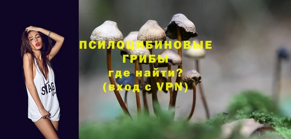 круглые Алексеевка