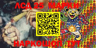 прущие грибы Краснознаменск