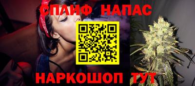 прущие грибы Краснознаменск