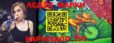 прущие грибы Краснознаменск