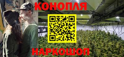 прущие грибы Краснознаменск