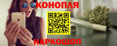 прущие грибы Краснознаменск