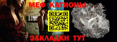 прущие грибы Краснознаменск