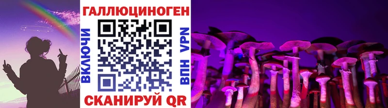 хочу   Канаш  Псилоцибиновые грибы мицелий 