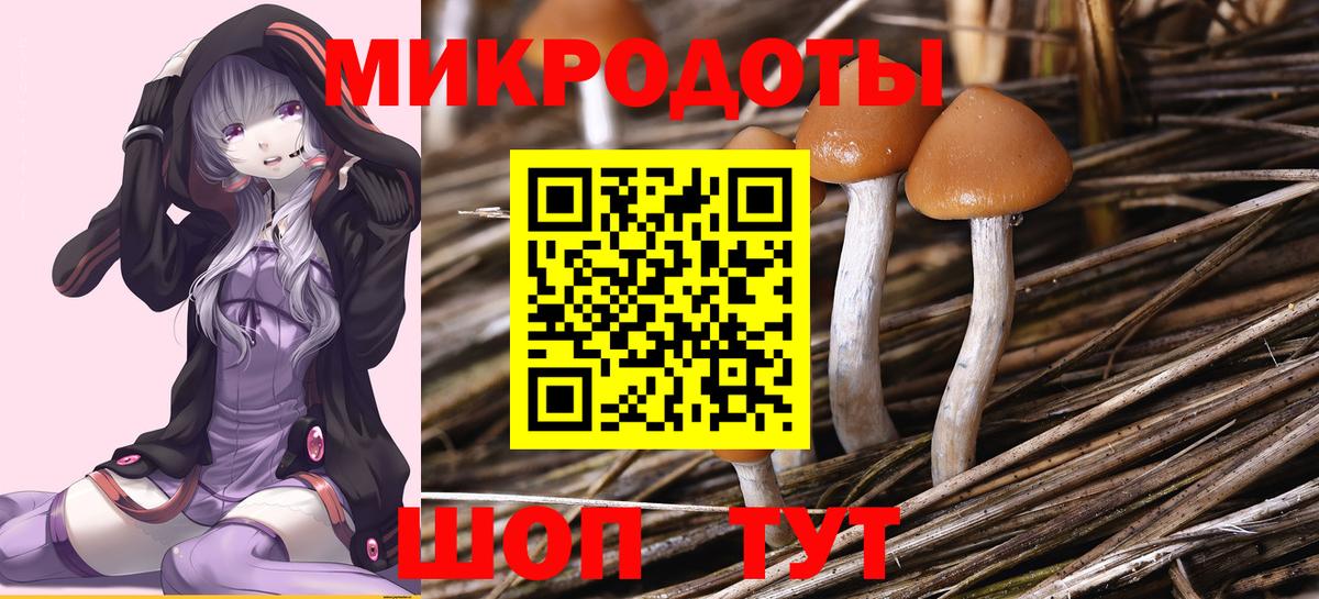 Галлюциногенные грибы GOLDEN TEACHER Канаш