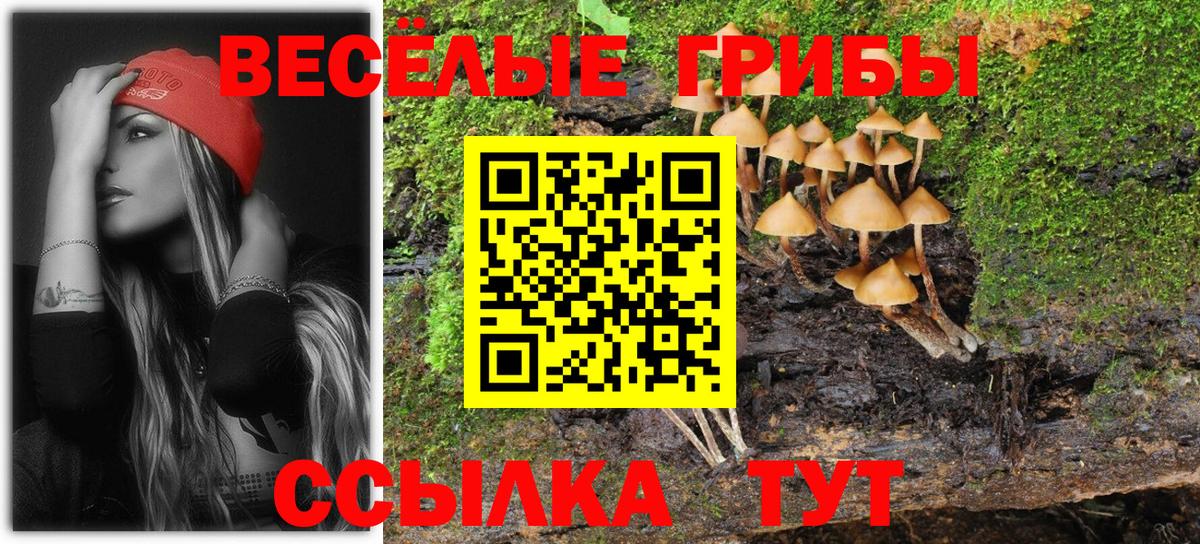 Галлюциногенные грибы Psilocybe  Вход с VPN  Канаш 