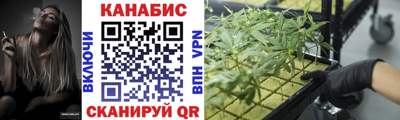 мега ССЫЛКА Канаш Шишки марихуана марихуана даркнет сайт